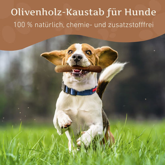 Olivenholz Kaustab-Hundespielzeug-Wildfang-