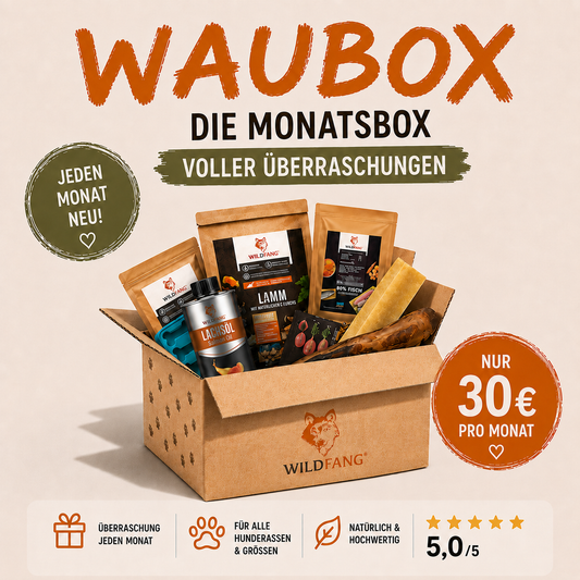 WAUBOX Erfahrungen: Was Hundemenschen über die Überraschungsbox sagen 🐾