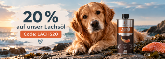 🐟 Nur am 2. & 3. Oktober: 20 % auf unser Lachsöl!
