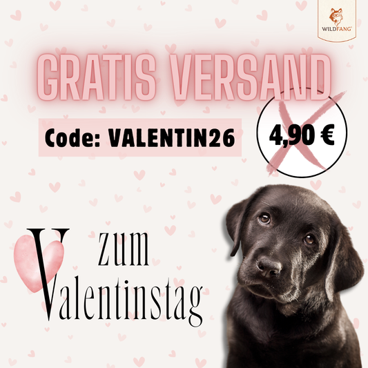 Valentinstag bei Wildfang: Liebe für deinen Hund & Gratis Versand 💕