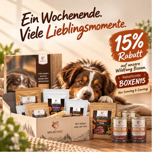 🎉 Boxen-Finale bei Wildfang: 15 % auf unsere Boxen!