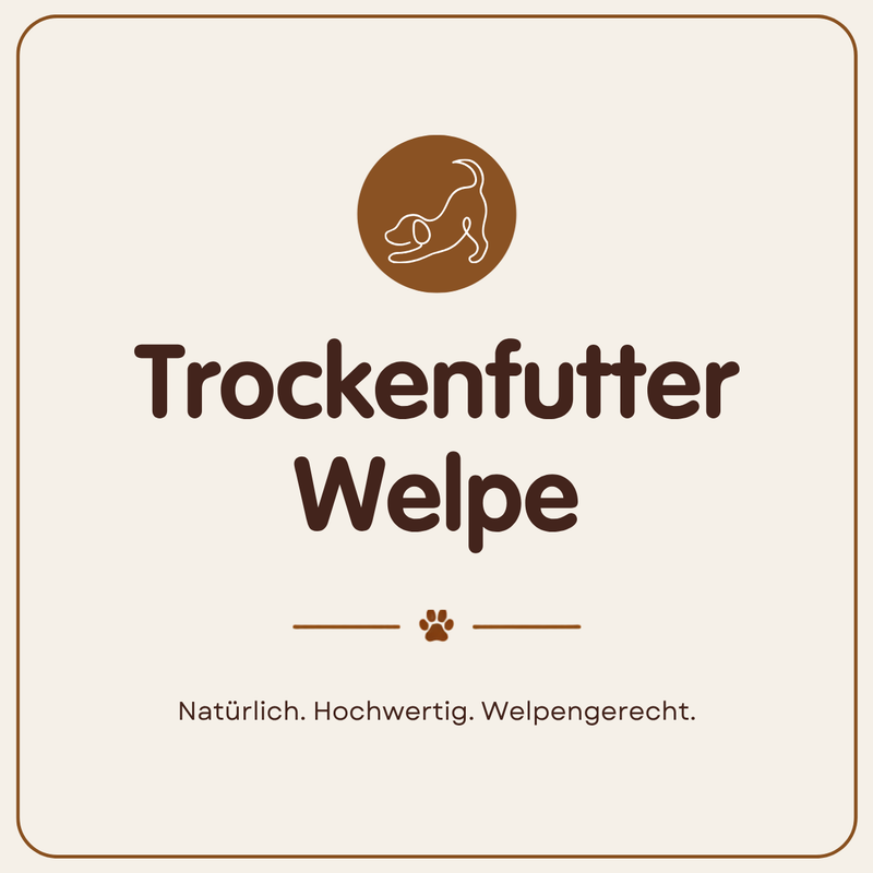 Trockenfutter für Welpen