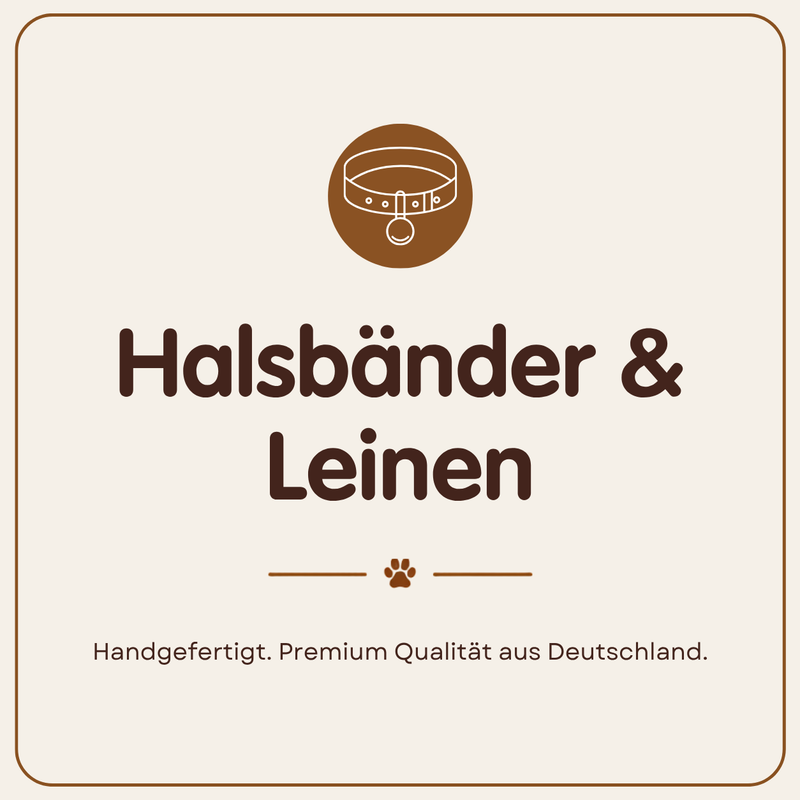 Halsbänder & Leinen