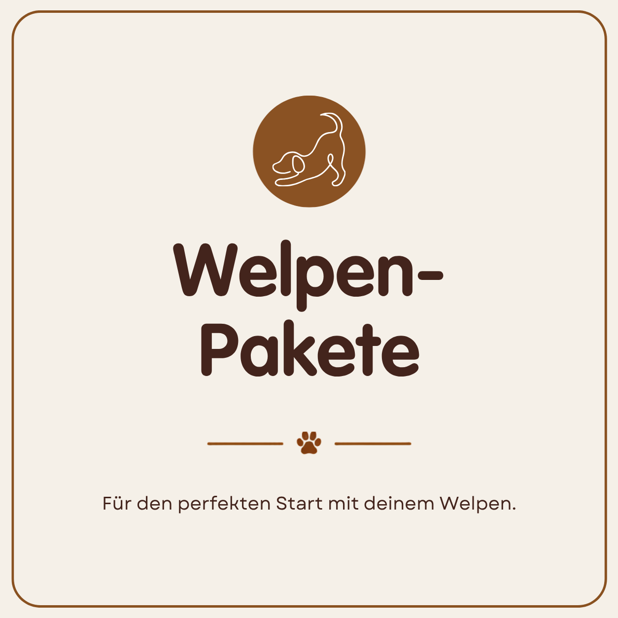 Pakete und Boxen für Welpen