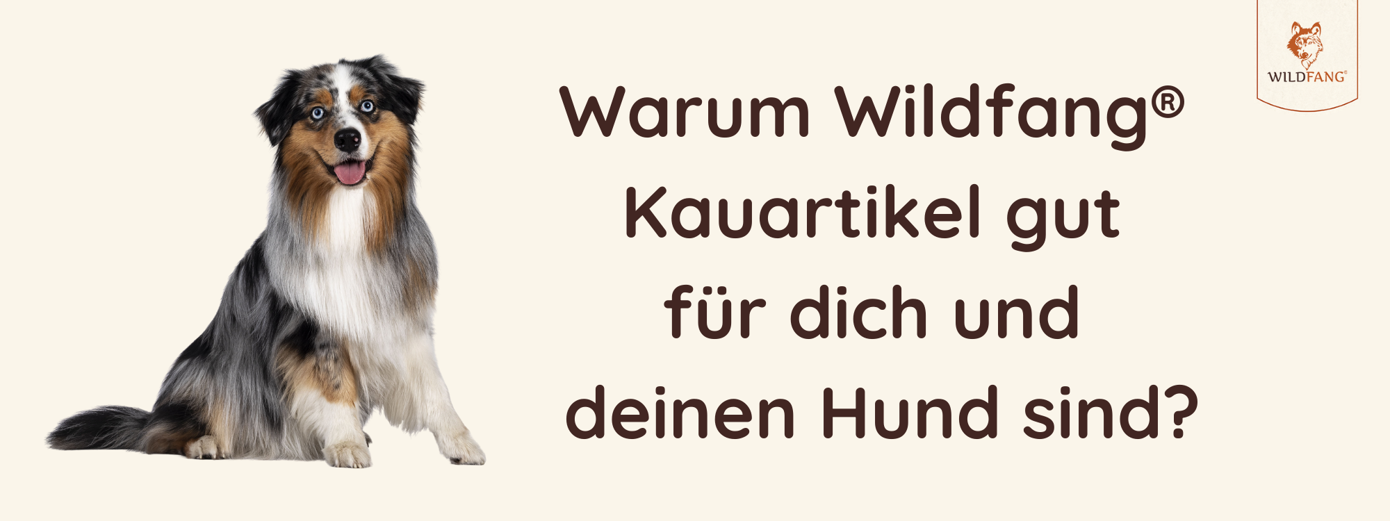 Video laden: 