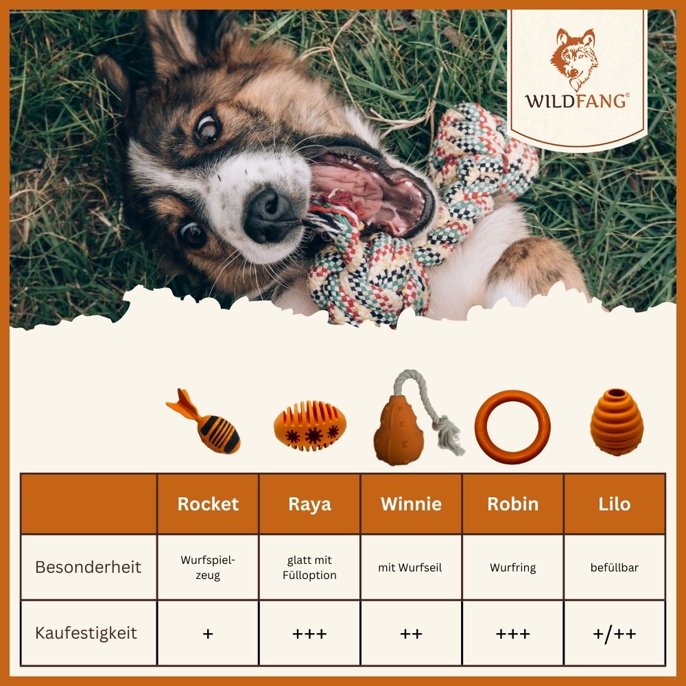 Snackball "Simba"-Hundespielzeug-Wildfang-