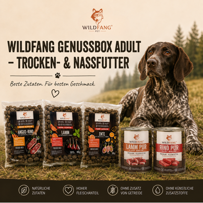 Genussbox Adult - Trocken- & Nassfutter-Hundebedarf-Wildfang-
