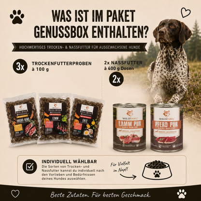 Genussbox Adult - Trocken- & Nassfutter-Hundebedarf-Wildfang-