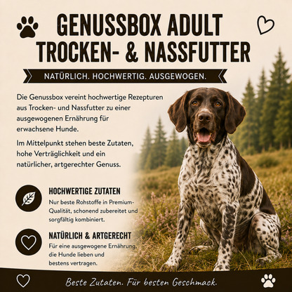 Genussbox Adult - Trocken- & Nassfutter-Hundebedarf-Wildfang-
