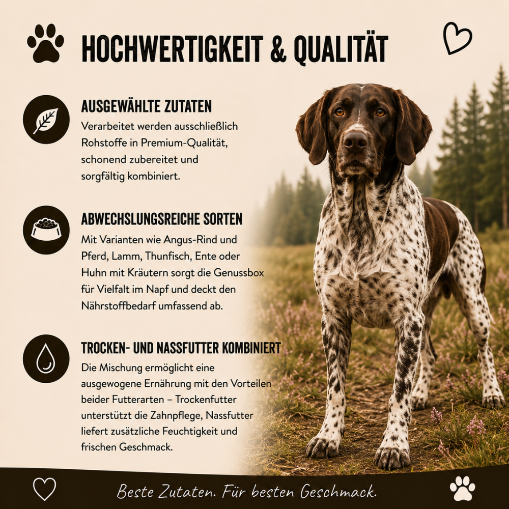 Genussbox Adult - Trocken- & Nassfutter-Hundebedarf-Wildfang-