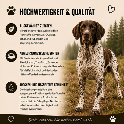 Genussbox Adult - Trocken- & Nassfutter-Hundebedarf-Wildfang-
