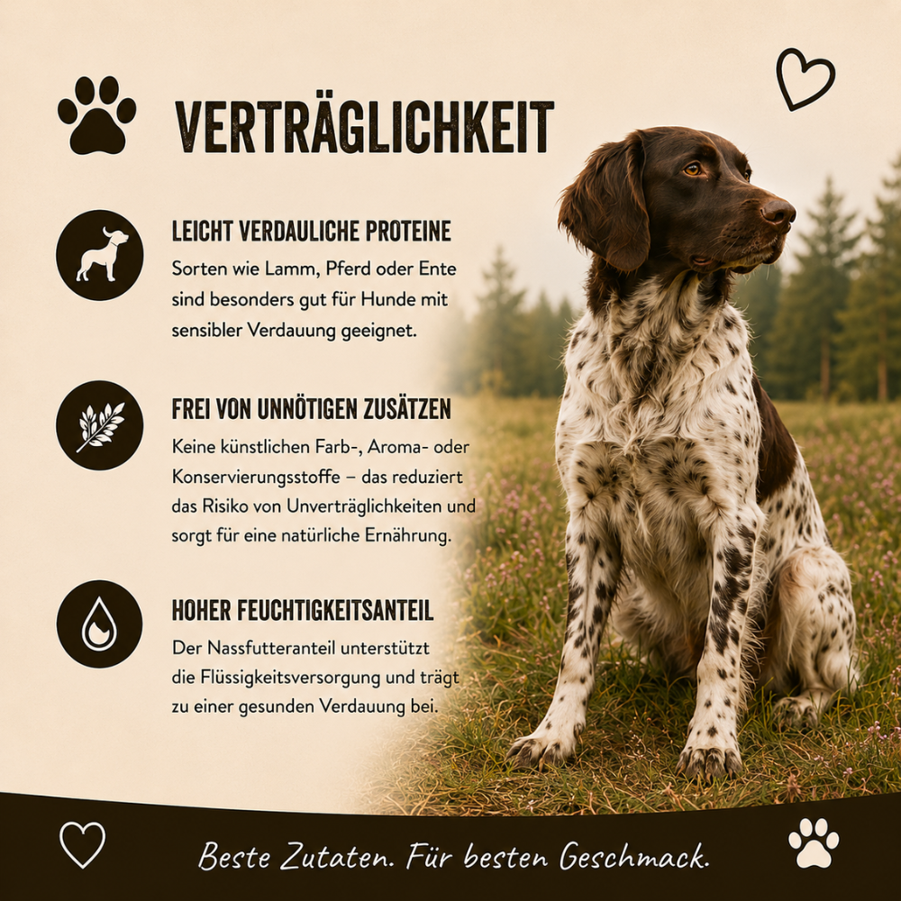 Genussbox Adult - Trocken- & Nassfutter-Hundebedarf-Wildfang-