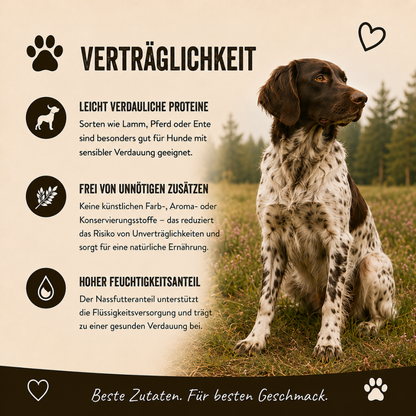 Genussbox Adult - Trocken- & Nassfutter-Hundebedarf-Wildfang-