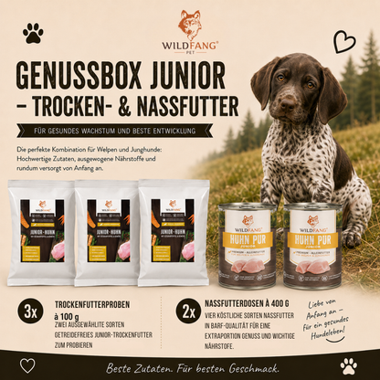 Genussbox Junior - Trocken- & Nassfutter-Hundebedarf-Wildfang-