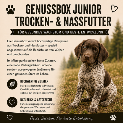Genussbox Junior - Trocken- & Nassfutter-Hundebedarf-Wildfang-