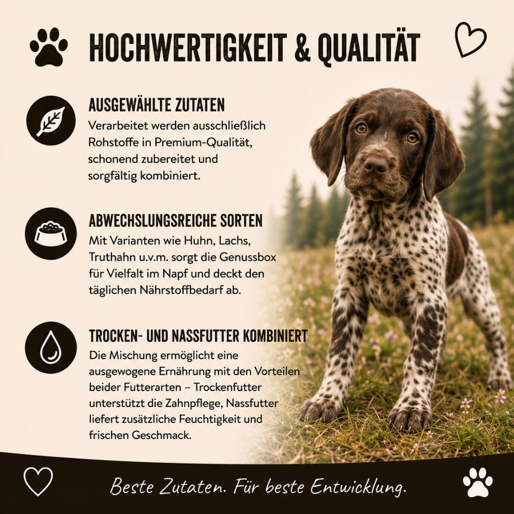 Genussbox Junior - Trocken- & Nassfutter-Hundebedarf-Wildfang-
