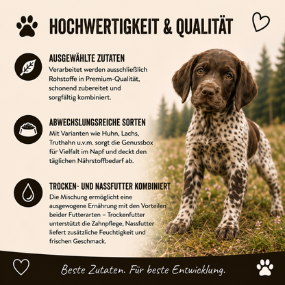 Genussbox Junior - Trocken- & Nassfutter-Hundebedarf-Wildfang-