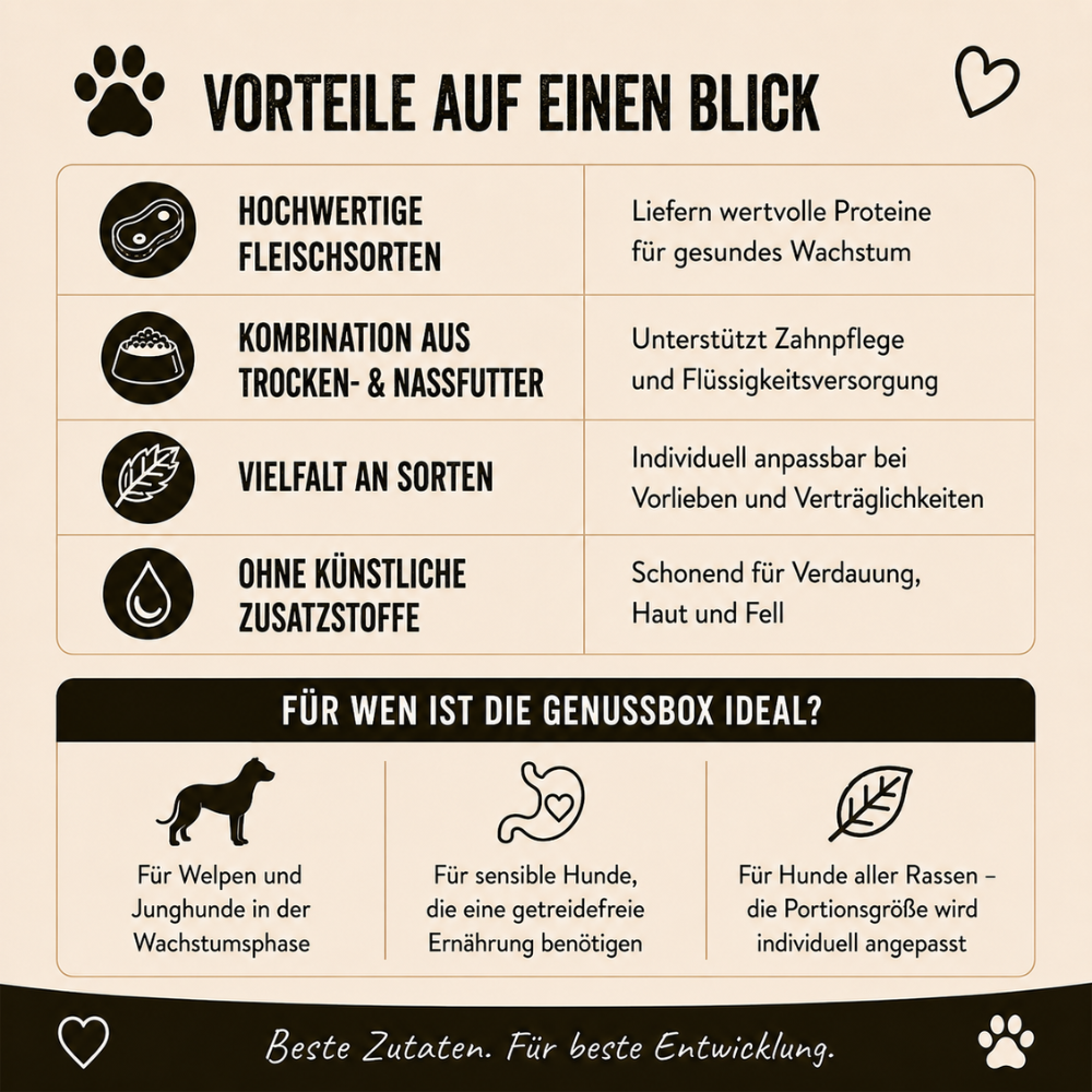 Genussbox Junior - Trocken- & Nassfutter-Hundebedarf-Wildfang-
