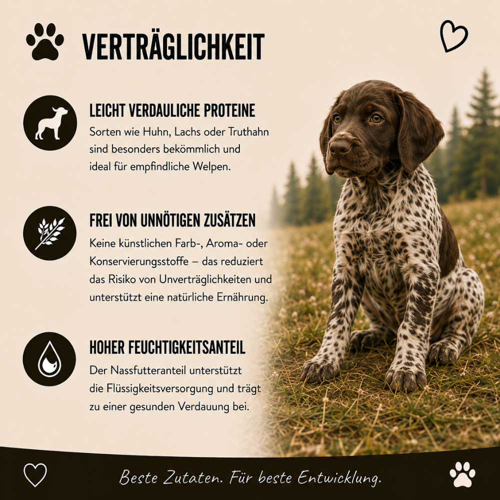 Genussbox Junior - Trocken- & Nassfutter-Hundebedarf-Wildfang-
