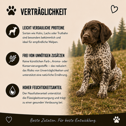 Genussbox Junior - Trocken- & Nassfutter-Hundebedarf-Wildfang-