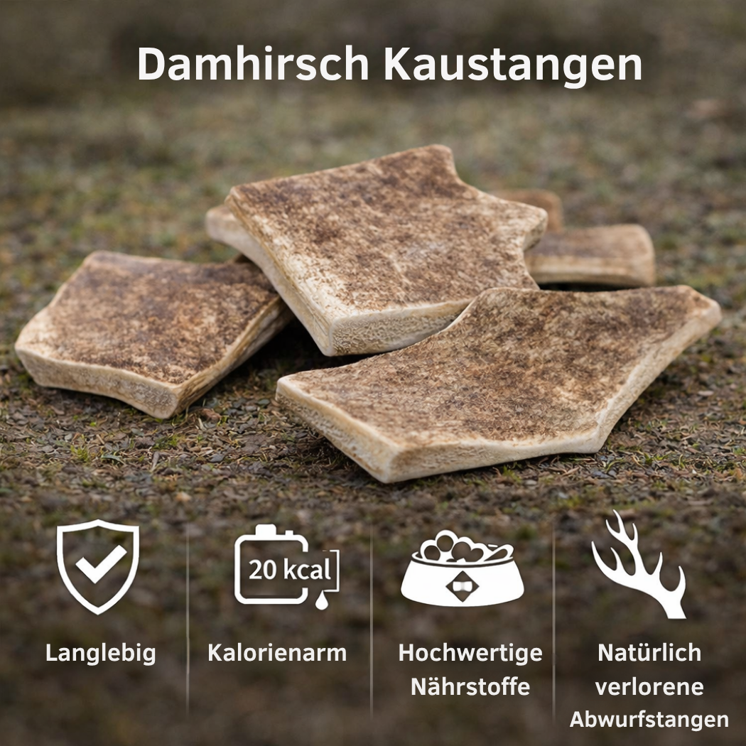 Kaugeweih Damhirsch - 3er Set-Hundebedarf-Wildfang-