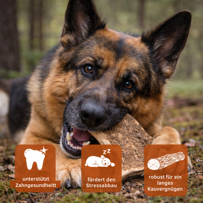Kaugeweih Damhirsch - 3er Set-Hundebedarf-Wildfang-