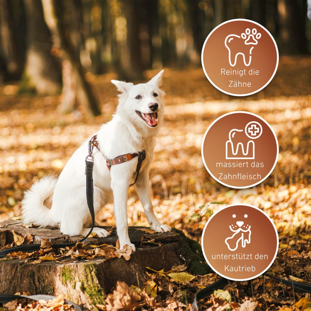 Paket "Abendrunde"-Hundebedarf-Wildfang-