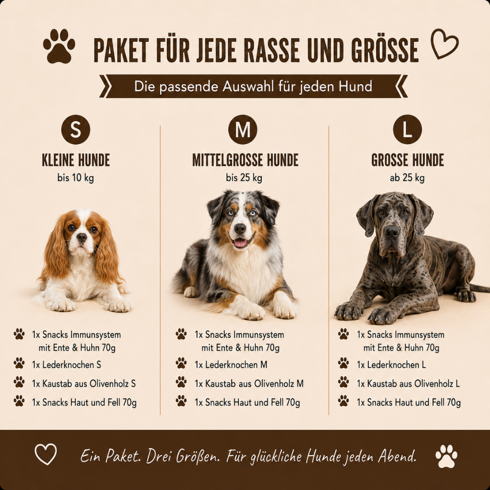 Paket "Abendrunde"-Hundebedarf-Wildfang-
