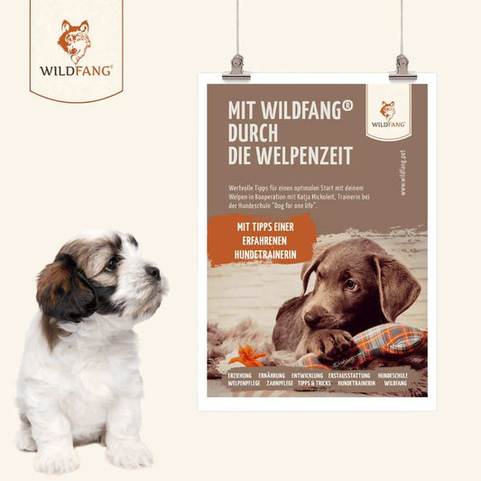 Wildfang® Welpenguide-Verpackungsmaterial-Wildfang-