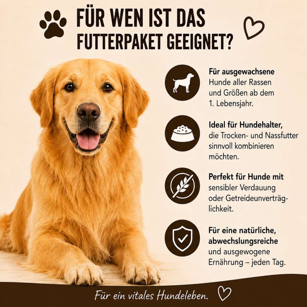 Adult Futterpaket Huhn - getreidefrei-Hundefutter-Wildfang-