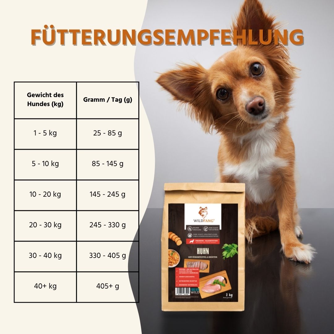 Adult Futterpaket Huhn - getreidefrei-Hundefutter-Wildfang-