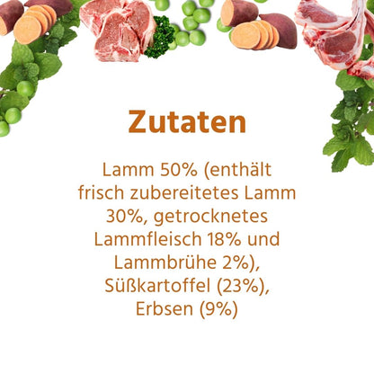 Adult Futterpaket Lamm - getreidefrei-Hundefutter-Wildfang-