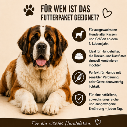 Adult Futterpaket Lamm - getreidefrei-Hundefutter-Wildfang-