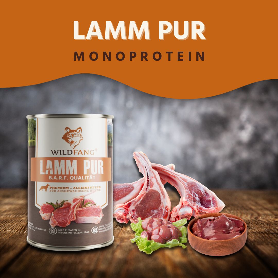 Adult Futterpaket Lamm - getreidefrei-Hundefutter-Wildfang-