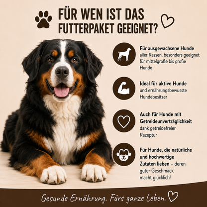 Adult Futterpaket Rind - getreidefrei-Hundefutter-Wildfang-
