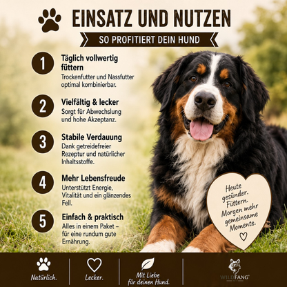 Adult Futterpaket Rind - getreidefrei-Hundefutter-Wildfang-