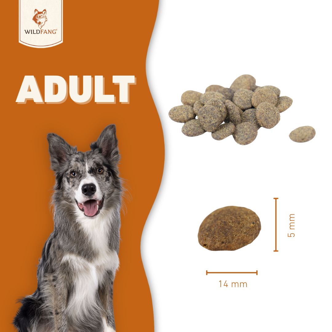 Adult Trockenfutter Sparpack 2 x 2 kg mit Angus Rind - getreidefrei-Hundefutter-Wildfang-