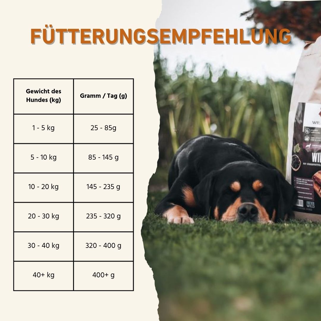 Adult Trockenfutter Sparpack 2 x 2 kg mit Angus Rind - getreidefrei-Hundefutter-Wildfang-