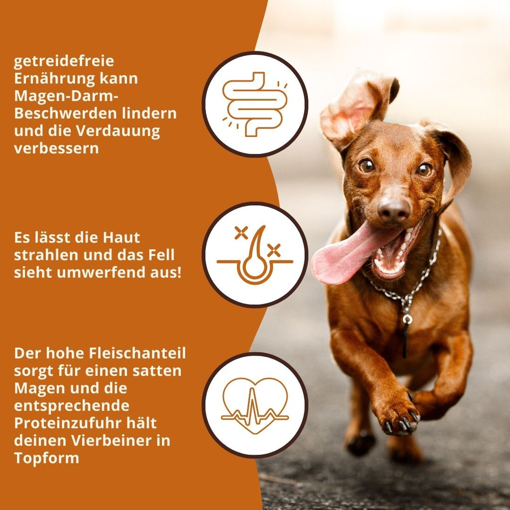 Adult Trockenfutter Sparpack 2 x 2 kg mit Huhn & Kräuter - getreidefrei-Hundefutter-Wildfang-
