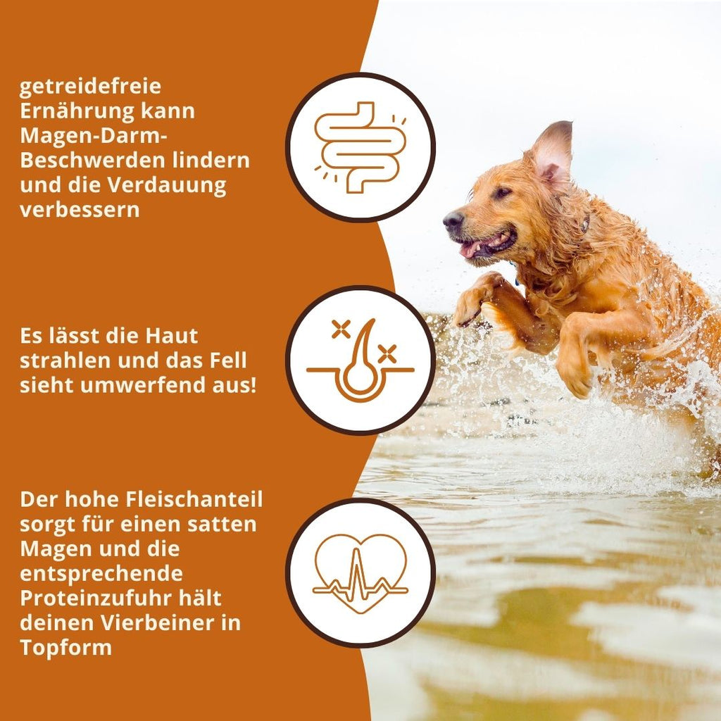 Adult Trockenfutter Sparpack 2 x 2 kg mit Thunfisch - getreidefrei-Hundefutter-Wildfang-