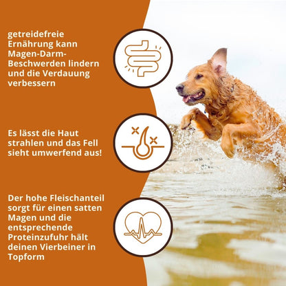 Adult Trockenfutter Sparpack 2 x 2 kg mit Thunfisch - getreidefrei-Hundefutter-Wildfang-