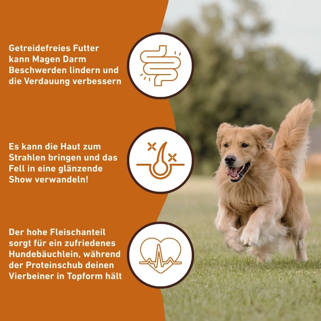 Adult Trockenfutter mit Angus Rind - getreidefrei-Hundefutter-Wildfang-