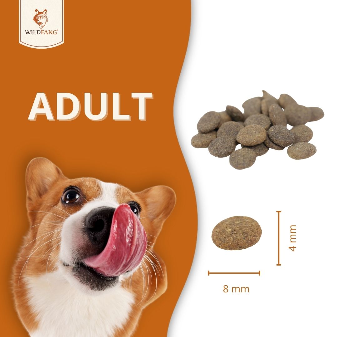 Adult Trockenfutter mit Ente - getreidefrei-Hundefutter-Wildfang-