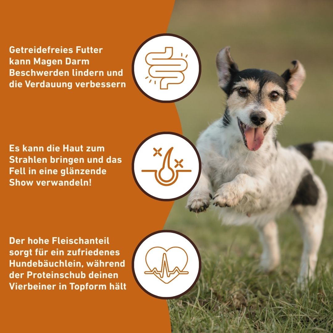 Adult Trockenfutter mit Ente - getreidefrei-Hundefutter-Wildfang-