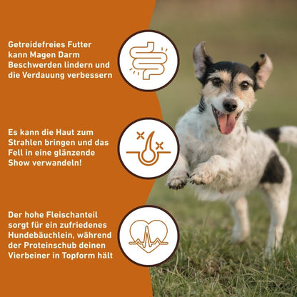 Adult Trockenfutter mit Ente - getreidefrei-Hundefutter-Wildfang-