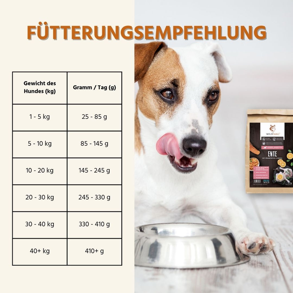 Adult Trockenfutter mit Ente - getreidefrei-Hundefutter-Wildfang-