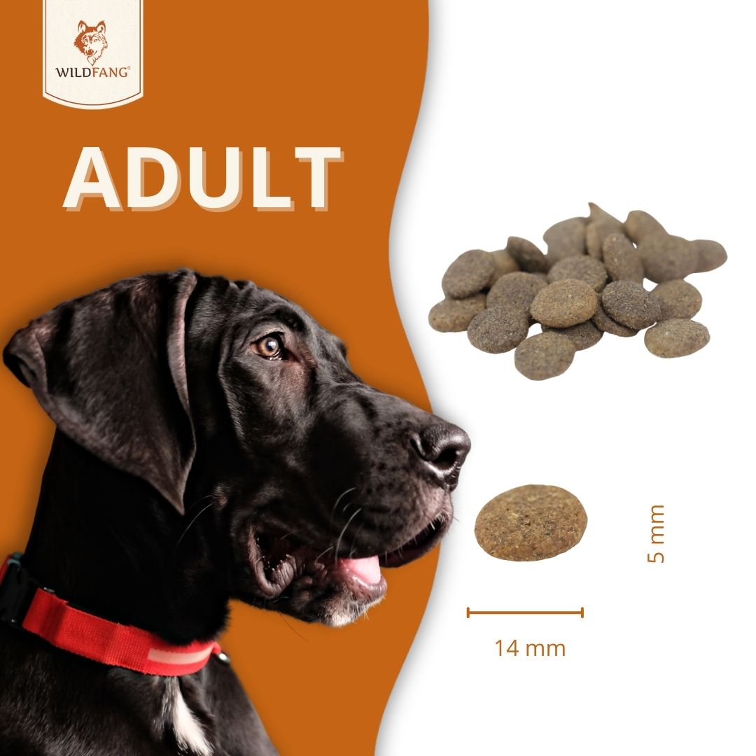 Adult Trockenfutter mit Lamm - getreidefrei-Hundefutter-Wildfang-