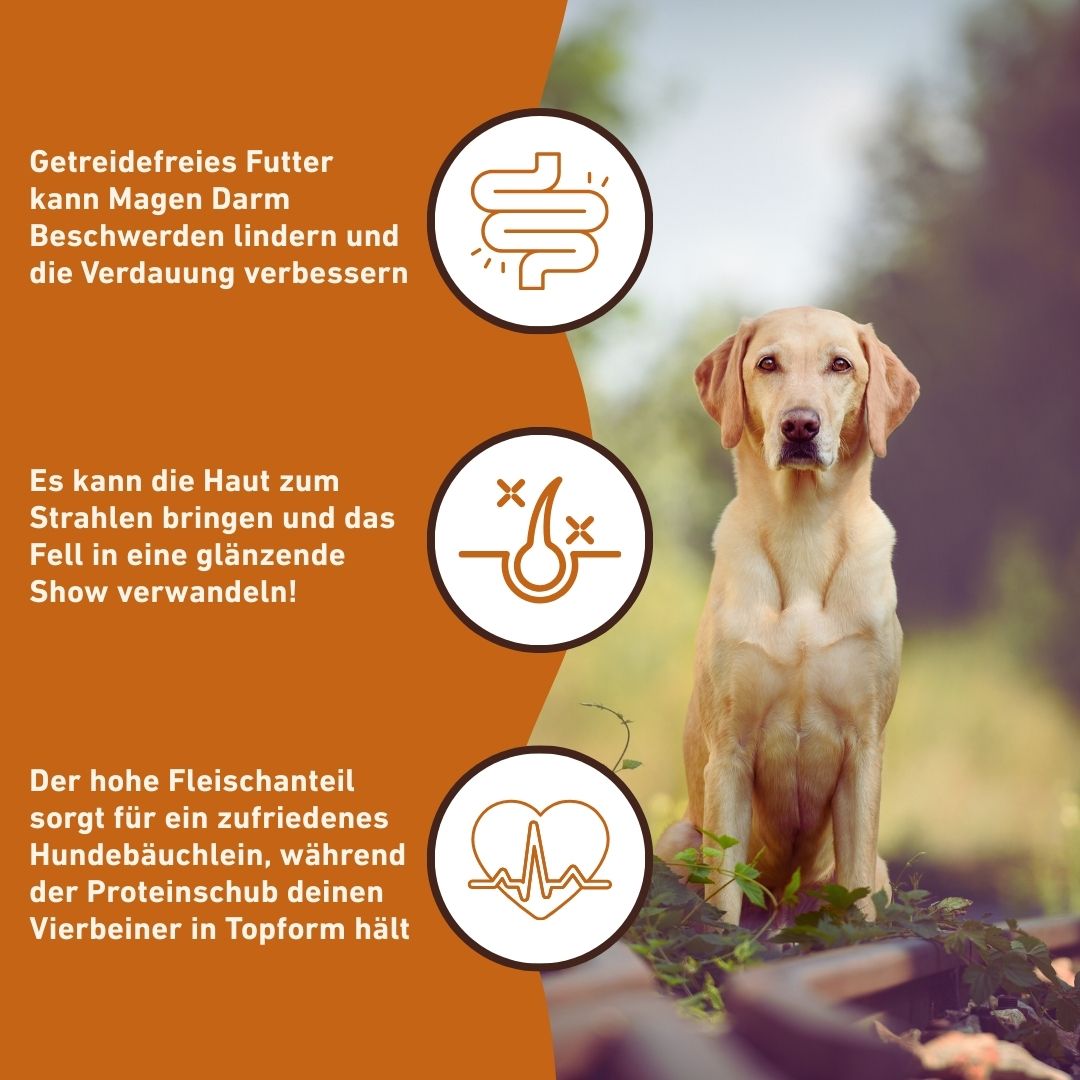 Adult Trockenfutter mit Lamm - getreidefrei-Hundefutter-Wildfang-