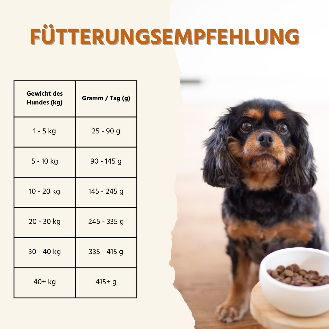 Adult Trockenfutter mit Lamm - getreidefrei-Hundefutter-Wildfang-
