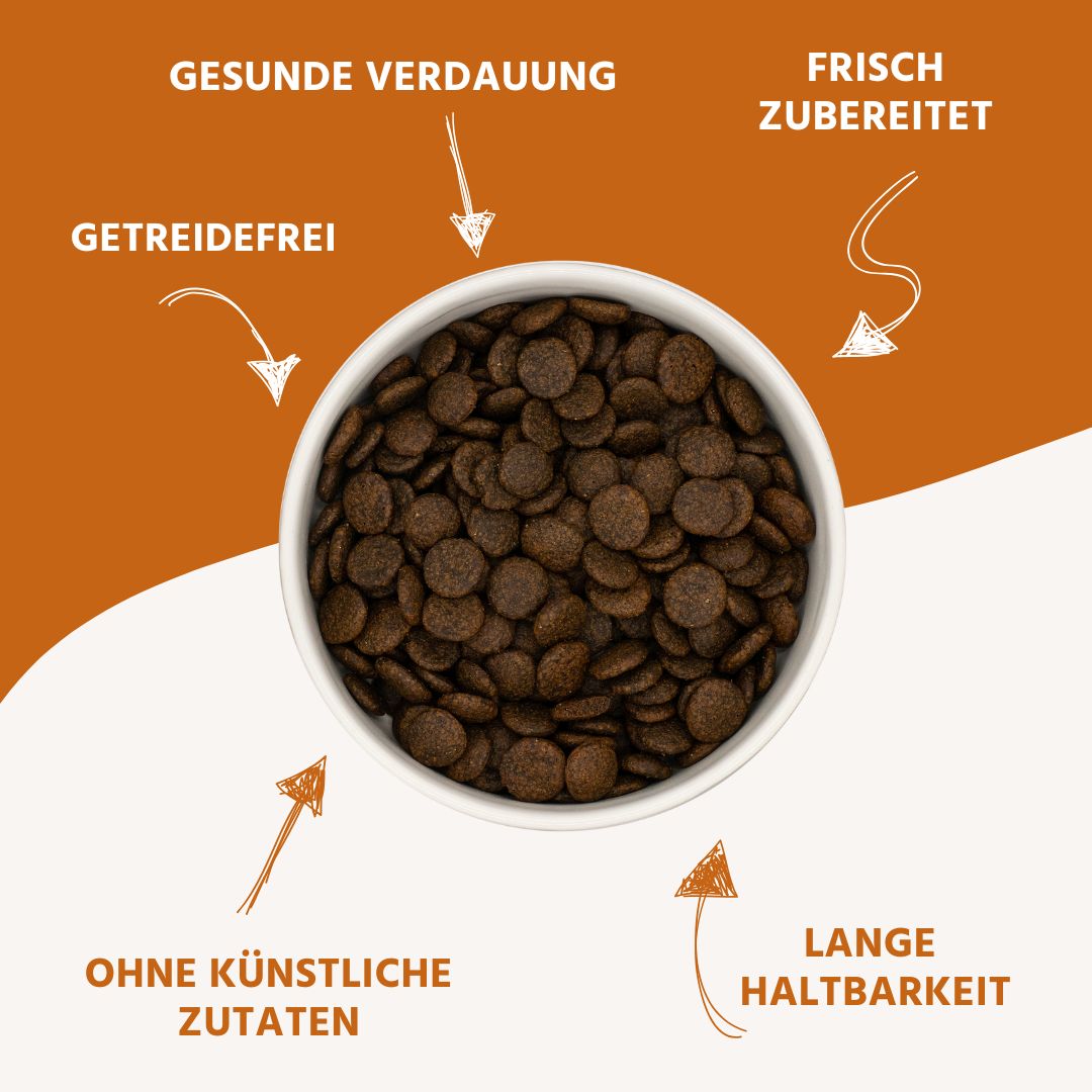 Adult Trockenfutter mit Thunfisch - getreidefrei-Hundefutter-Wildfang-